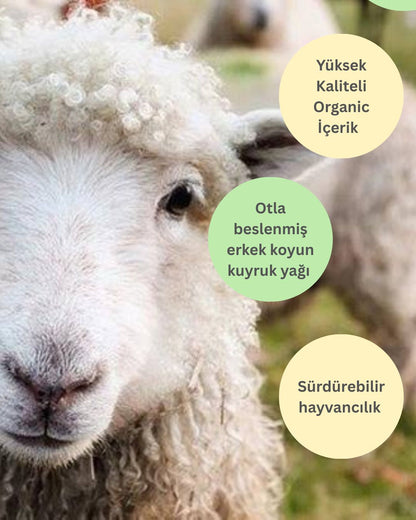 Herbessora – Kuyruk Yağı, Bal ve Aloe Vera Gücüyle Besleyici Krem